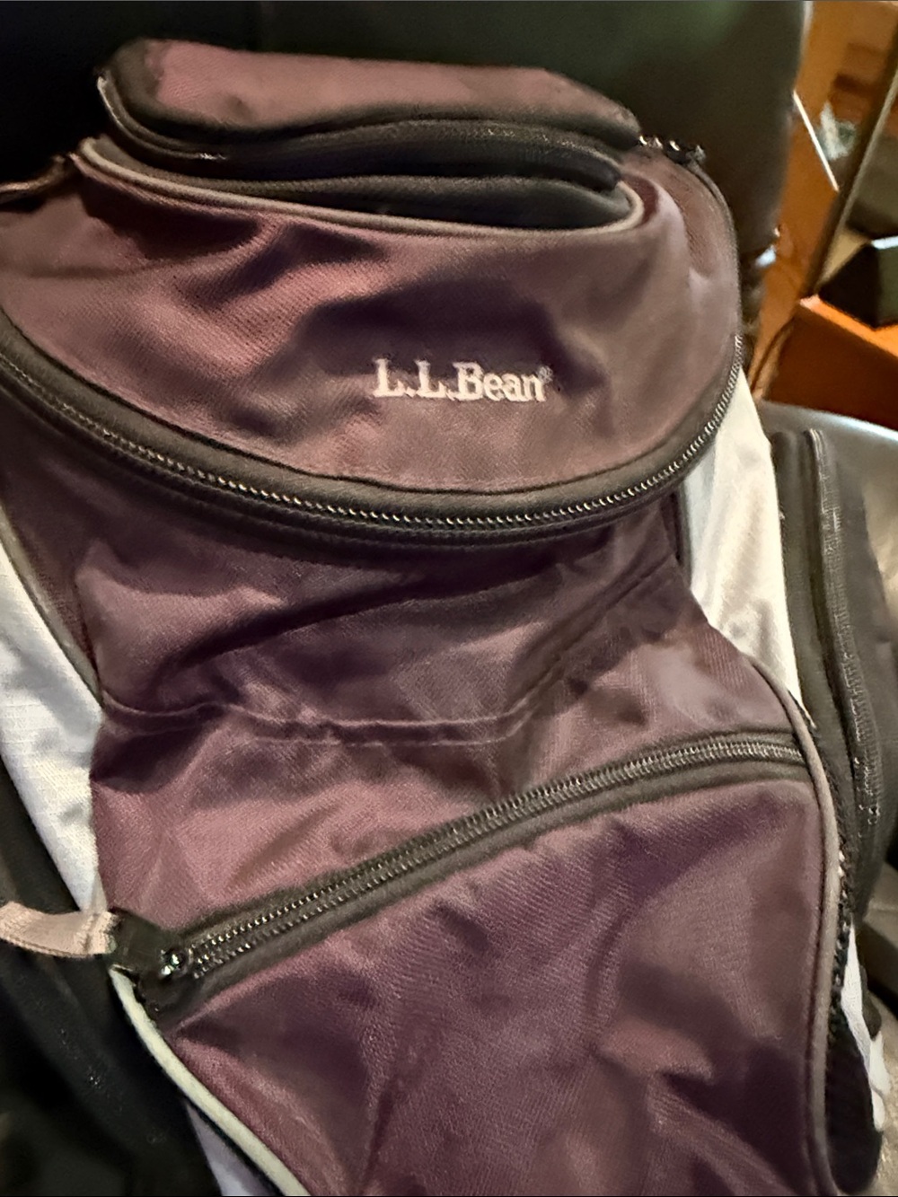 L.L. Bean Purple backpack